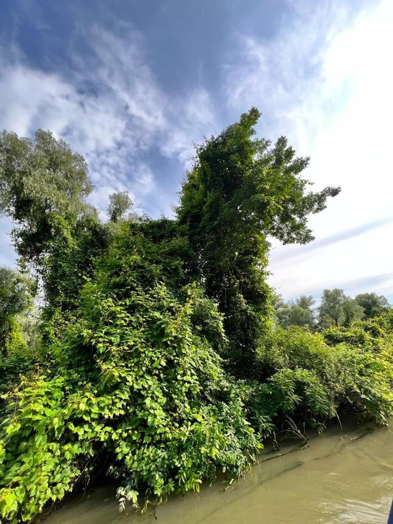 Vila Lac มูรีกีโอล ภายนอก รูปภาพ